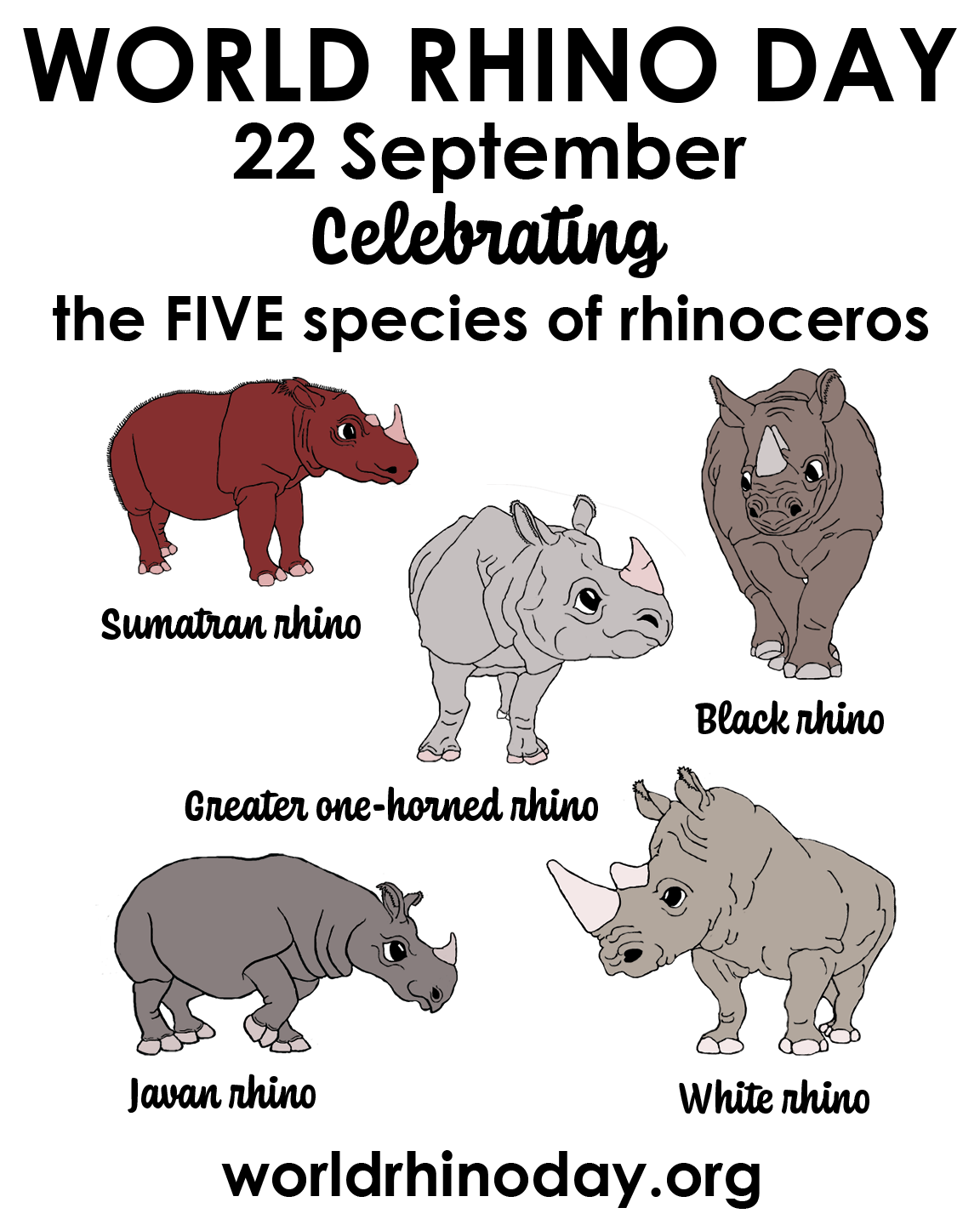rhinoceros success .png